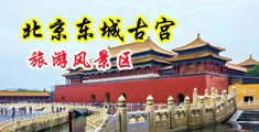 淫荡美女被屌閪窿中国北京-东城古宫旅游风景区